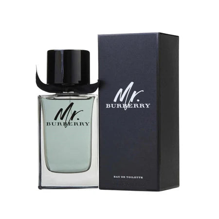 Mr. Burberry EDP - Instinkt